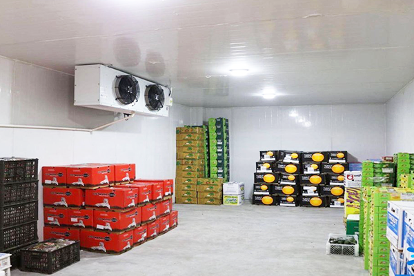 Cold storage Rooms
